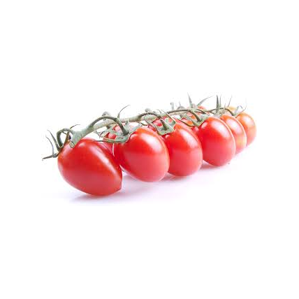 Haybrid Tomato